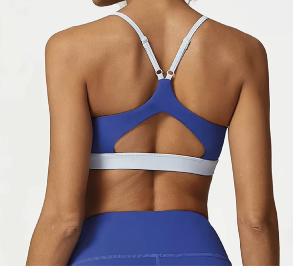Conjunto deportivo